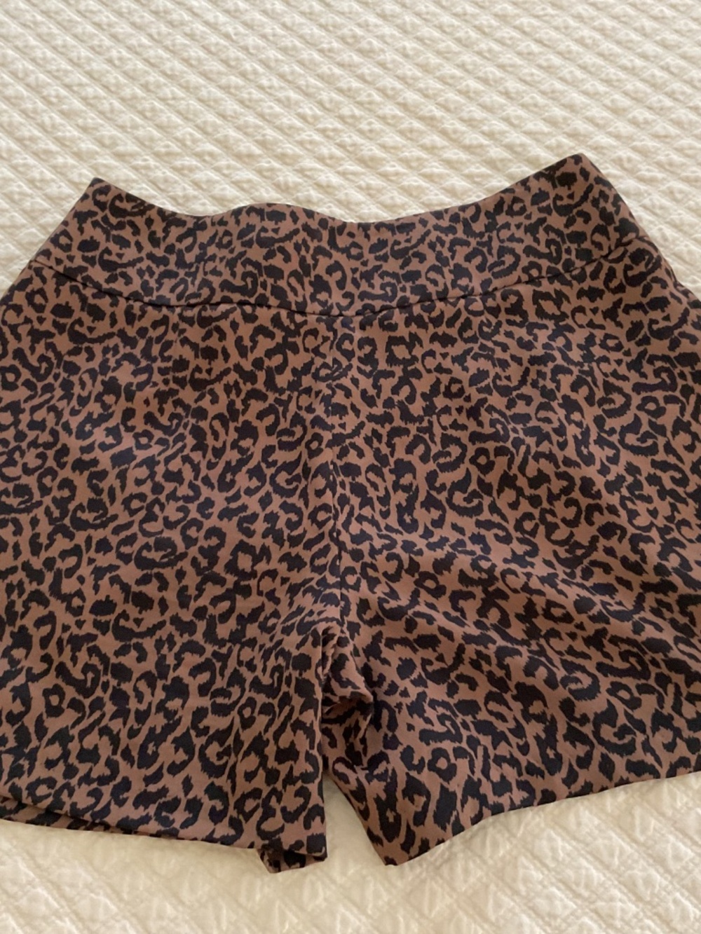 Loft Leopard Print Shorts - Picture 3 of 7